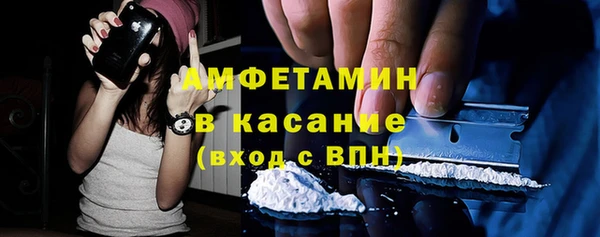 прущие грибы Балахна