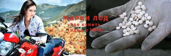 прущие грибы Балахна